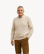 Sweater Aldo